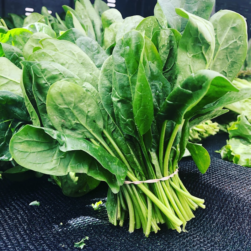 Espinacas, vegetal de hoja verde